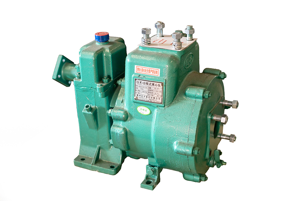 水泵65QZ50-110N（S）