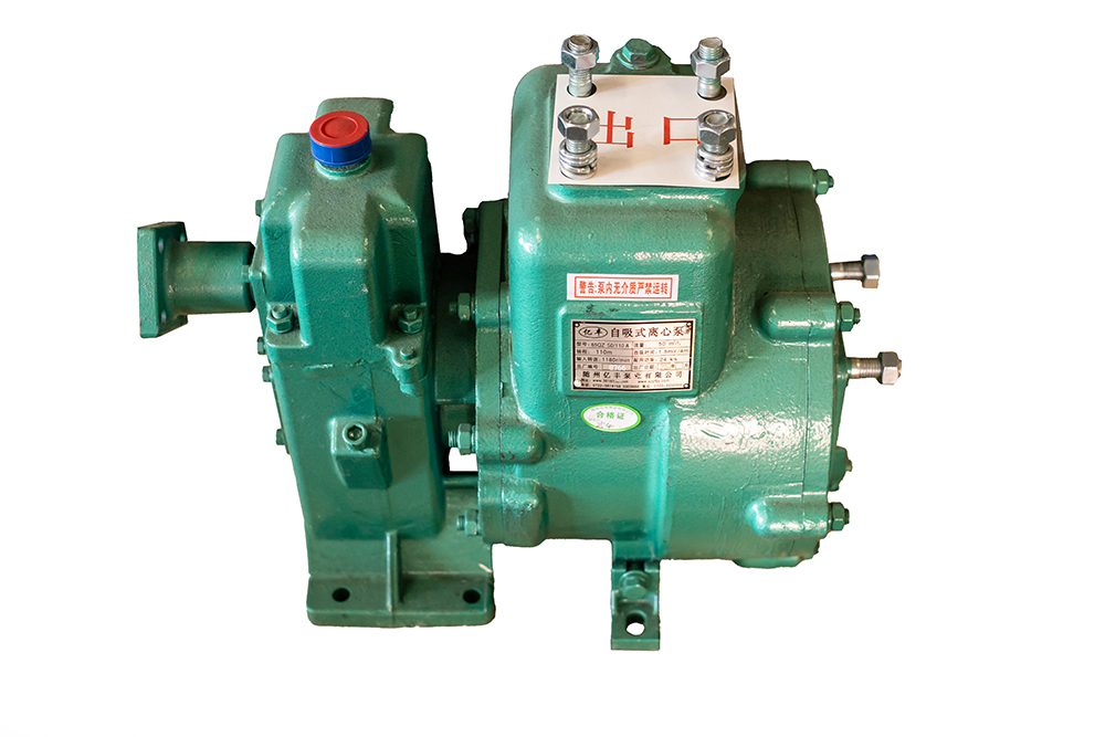 水泵65QZ50-110N（S）