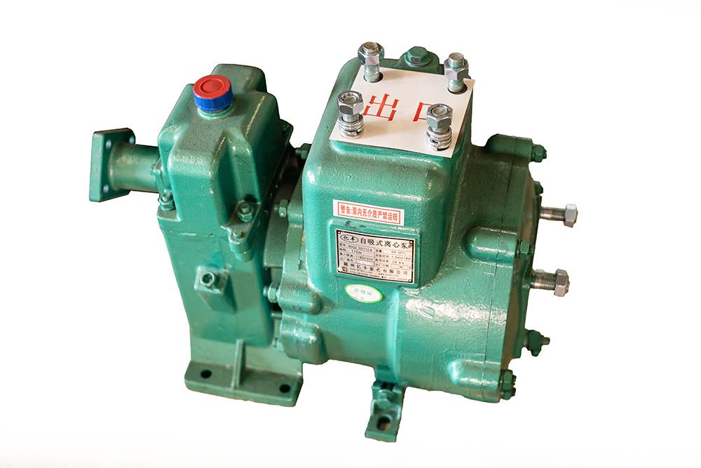 水泵65QZ50-110N（S）